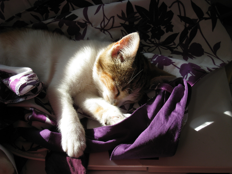 3.27 rs-hinata 1067922