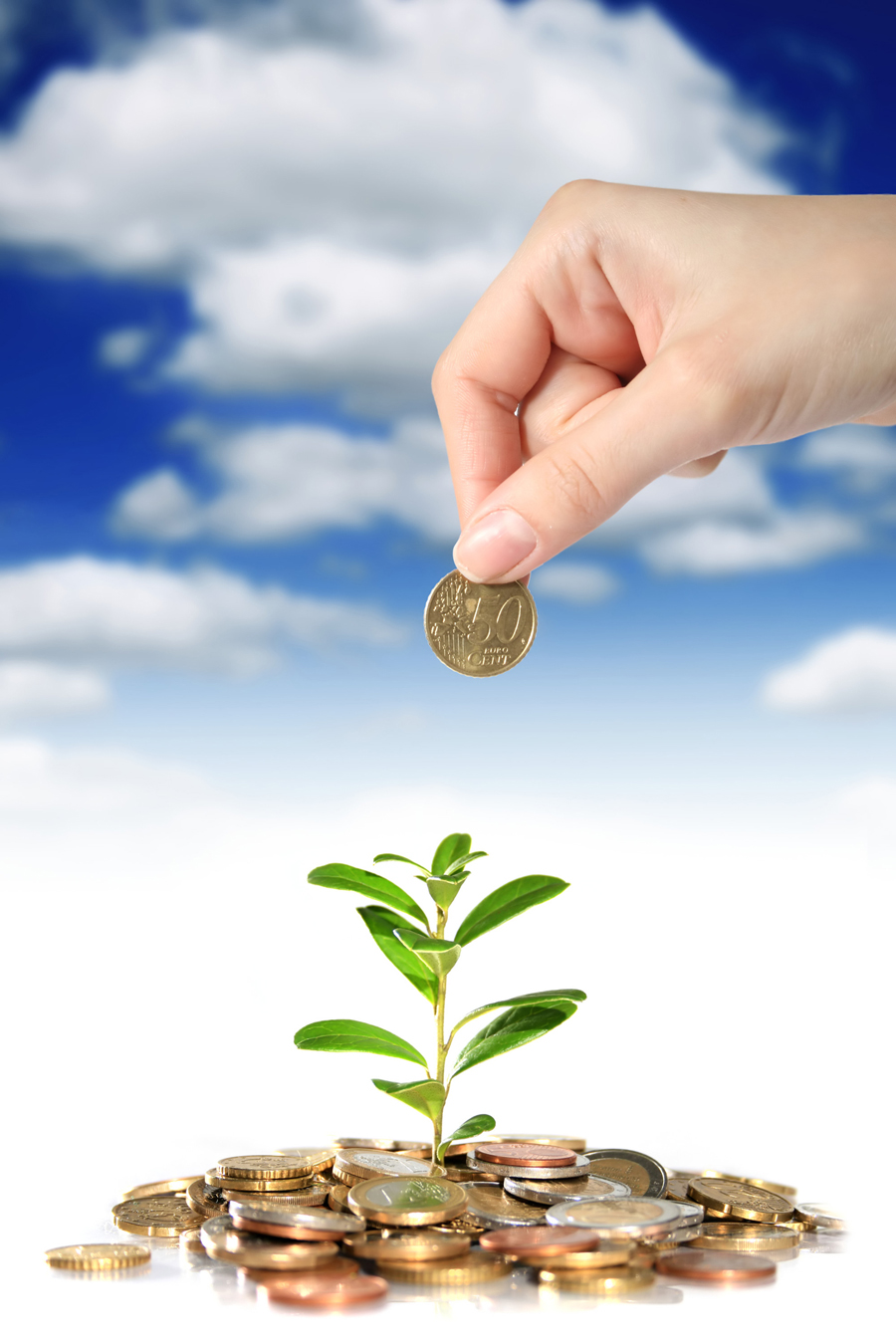 13.11 rs-moneyandplant m 9425212