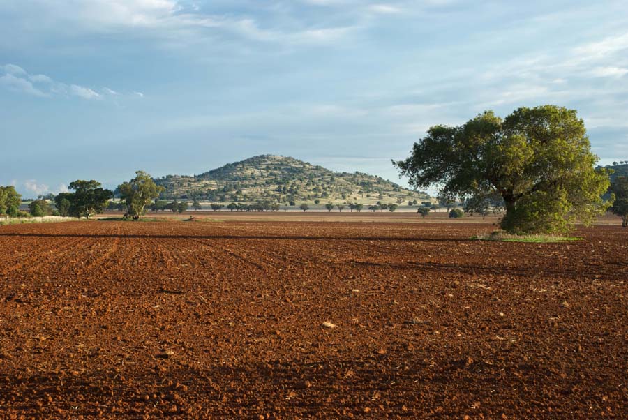 13.23 rs-landscape 1343536 95174870