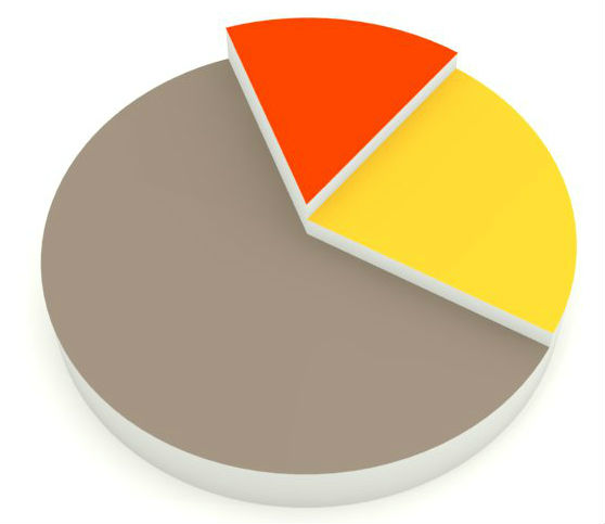 17.2 c-piechartcolor3 1099211 81045066