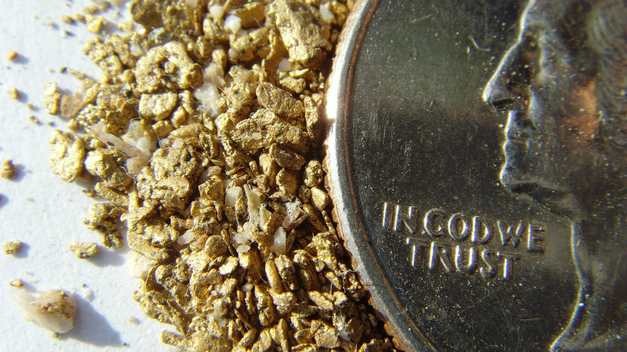 17.3 rs-realgold 829458 42742103