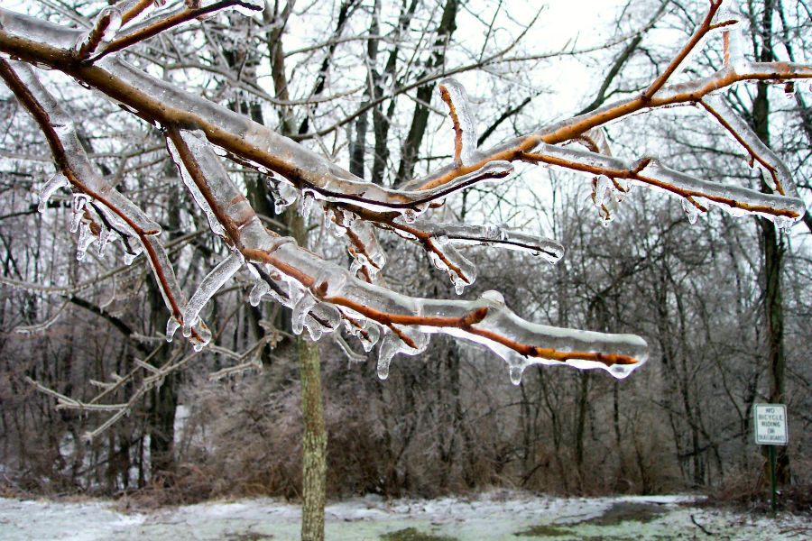 20.4 rs-branchesbreakingpoint 700195 74602925