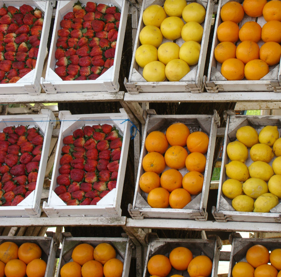 20.14 crs-fruitsontheroad1 876900 93828076