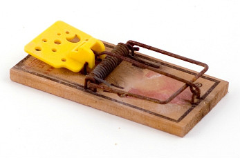 22.7 crs-mousetrap 505530 43951659