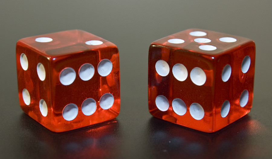 24.3 crs reddice 1407331 56677129