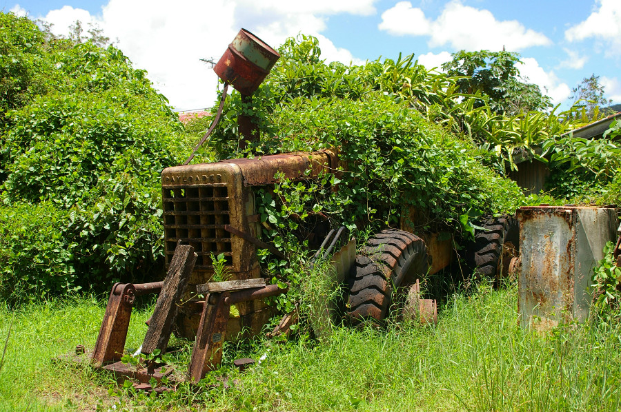 24.30 rs overgrowntractor 463268 52214936