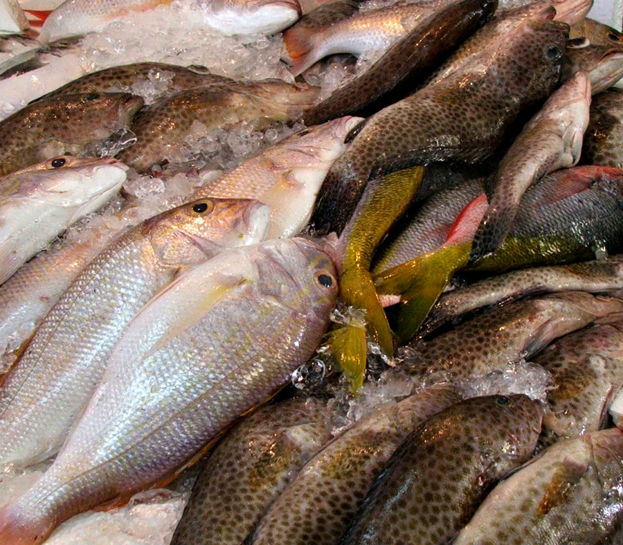 28.6 crs atthefishmarket rgb mIC6ICq