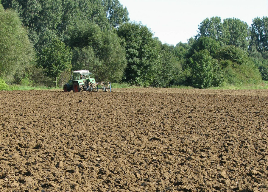 28.19 crs farmeronfield 377248 4398