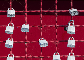 risk free investments