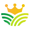 Wisdom With Wealth Logo