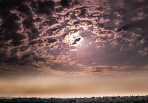 crs-hash-whole-studios-263011-unsplash