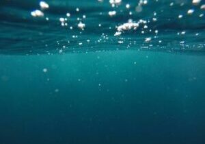 crs-jeremy-bishop-98691