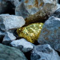 gold2