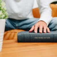 humble-lamb-ytaTArufQm8-unsplash